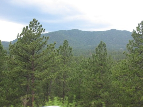 Picture of The Black Hills SD