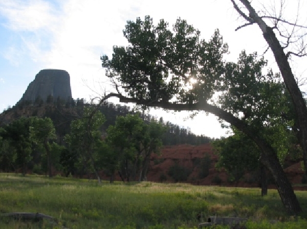 Devils Tower with a Tree