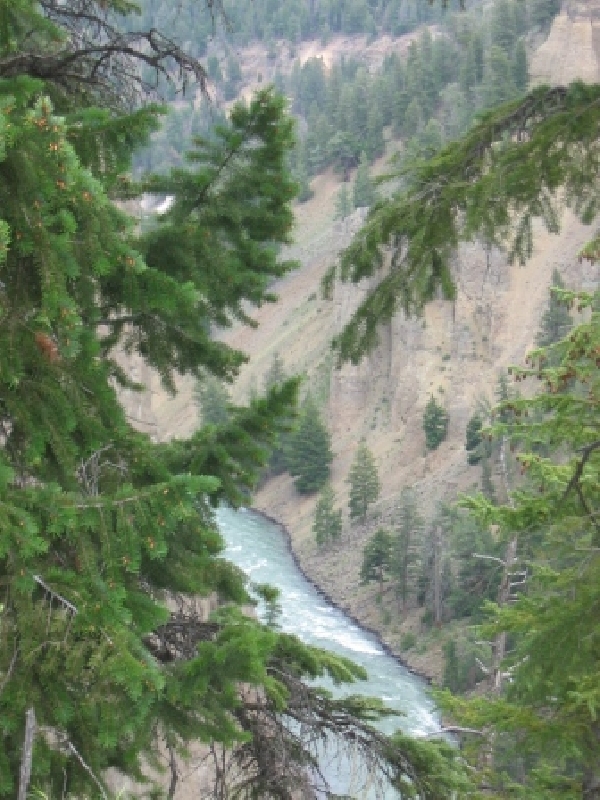 The Yellowstone river