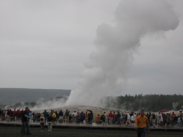 Old Faithful being Faithful