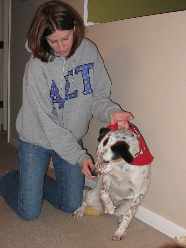 Mommy Consoling her Doggy