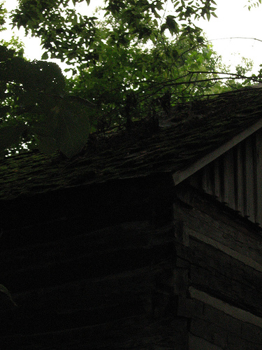 Sweet buildings
