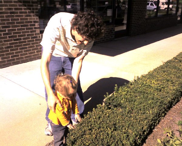 Dave shows Chloe a bush