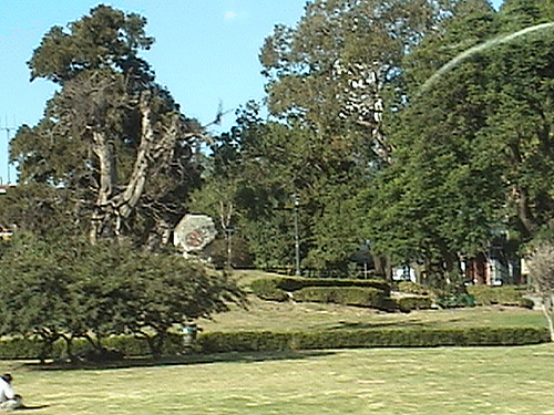 DSC00450