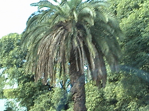 DSC00448