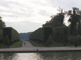 France: Walls of trees