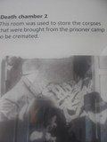 Germany: Dachau A photo with the locals seeing all the bodies in the room I was in