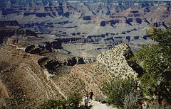 The Canyons