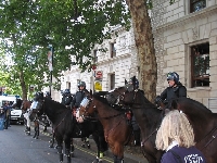Police on Horses