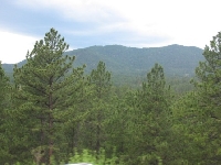 Picture of The Black Hills SD