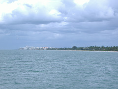 The Gulf