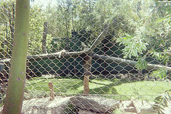 FL000010.JPG