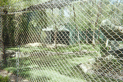 FL000009.JPG