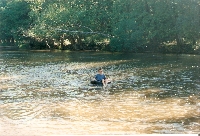 Rifle River Scenery: Media 6