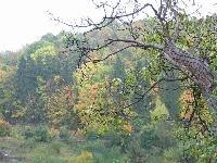 Beautiful Fall Colors