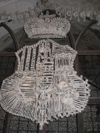 The Shield of Bones