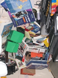 The Damage