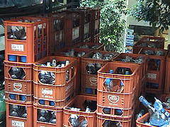 DSC00464