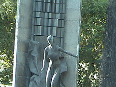 DSC00446