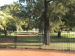 DSC00441