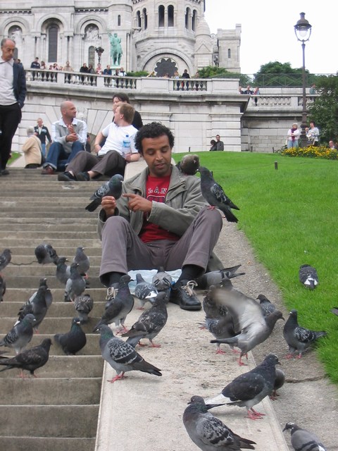 France: The pigeon man