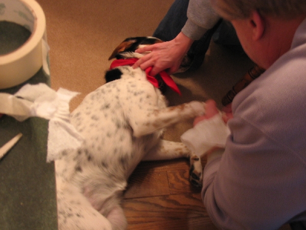 Emergency Paramedics in action