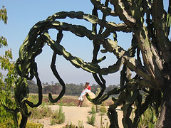 I think these people were making out or something... i just liked the cactus