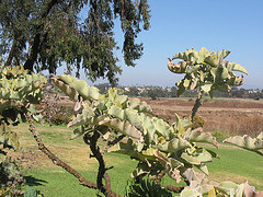 Am I boring you with the scenery shots